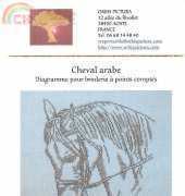 Orbis Pictura - Cheval Arabe
