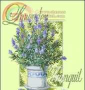 DMC Deco BK242 Lavender Tranquil XSD