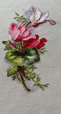 Paradise Stitch - Ciklámen