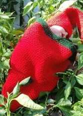 Sandys Cape Cod Originals - Sandy Powers - 463 Chili Pepper Cocoon and Hat