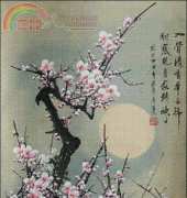 sakura xsd