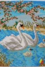 Swans