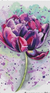 Tulip by Anastasia Moshkina