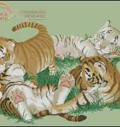 Couchman Creations CC028 - Tiny Tigers XSD