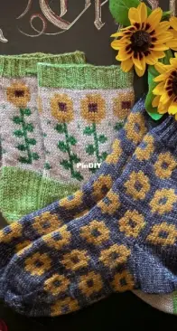 Field of Sunflowers Sock Set by Charlotte Stone - Stone Knits