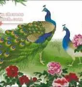 Peacocks and Peonies