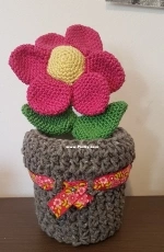 Flower in pot