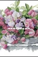 Merejka K-82 Sweet pea