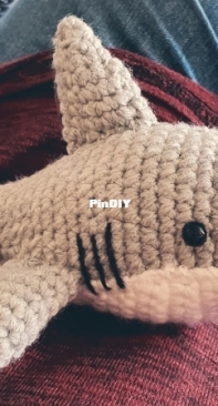 My Shark