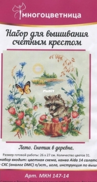 Multicolor / Многоцветница - Summer. Raccoon in the Village.
