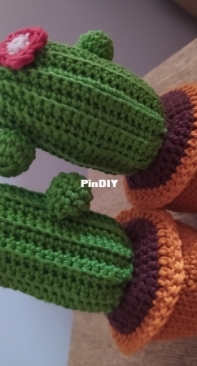 Crochet cactus