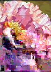 Alisa 2-15 Peony pcs