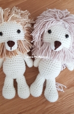 My twin lions