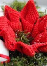 Inhaken - Christmas Flower - Dutch -Free