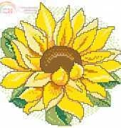 Girasol