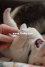 Please do not tickle me ...