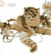 Alisena 1028 Scared Kitten xsd