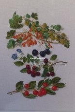 Thea Gouverneur 3063 sampler