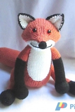 Toy Fox  by Rian Anderson