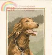 Heritage Stitchcraft JSRD416 Red Setter by John Stubbs XSD