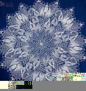 knitted doilies - my work