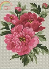 Riolis 815 Peony