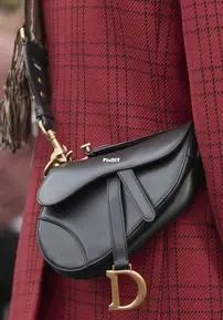 Studio Attractive - DIOR Saddle Bag - Free