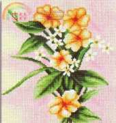 HH286A - Flower