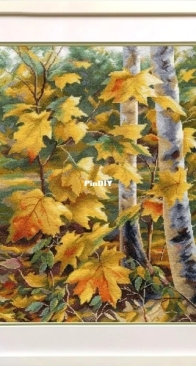 Oven - 1559 - The Gold of Maple Leaves