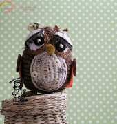 Magic with Hook and Needles - Vendula Maderska - Owls Are Not What They Seem