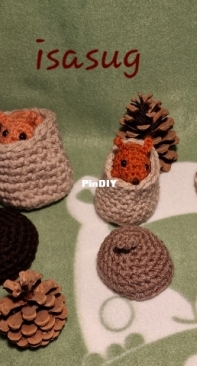 little squirrels in acorn