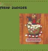 Letrero Duendes - Bienvenidos / Santa Claus with sledge Felt pattern