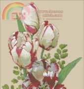 The Silver Lining  SL135 Parrot Tulips
