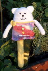 Ragdoll Cat
