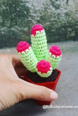 Amigurumi Cactus mini 4