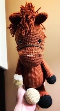 My little horse