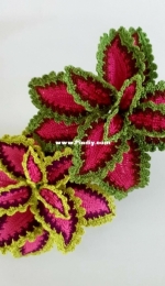 Pippa Patterns Crochet - Connie Rockliff - Watermelon Coleus