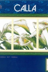 Dome 100822 - Calla