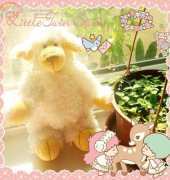 Little Sheep ‘Baa Baa ...’
