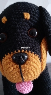 a beauceron