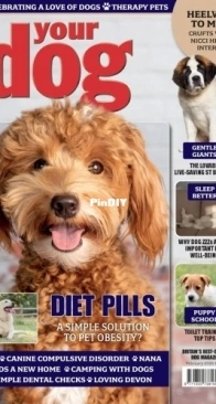 Your Dog - February 2026