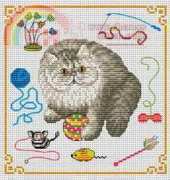 cat