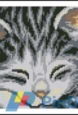 Collection DArt No.5082 Yasmine Pillow