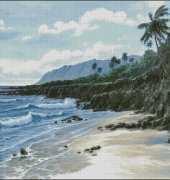 Beach From Nastunya 40