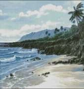 Beach From Nastunya 40