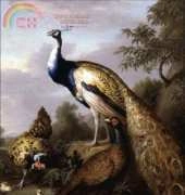 Golden Kite GK 1877 - Peacock , Hen and a Landscape