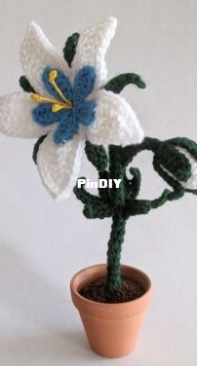 Sir Purl Grey - Phillip Ha - Silent Princess flower