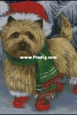 Chiara Roi - Christmas dog