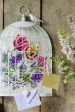 Veronique Enginger -  Book Dans mon Jardin The flower and bird cage branches
