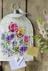 Veronique Enginger -  Book Dans mon Jardin The flower and bird cage branches